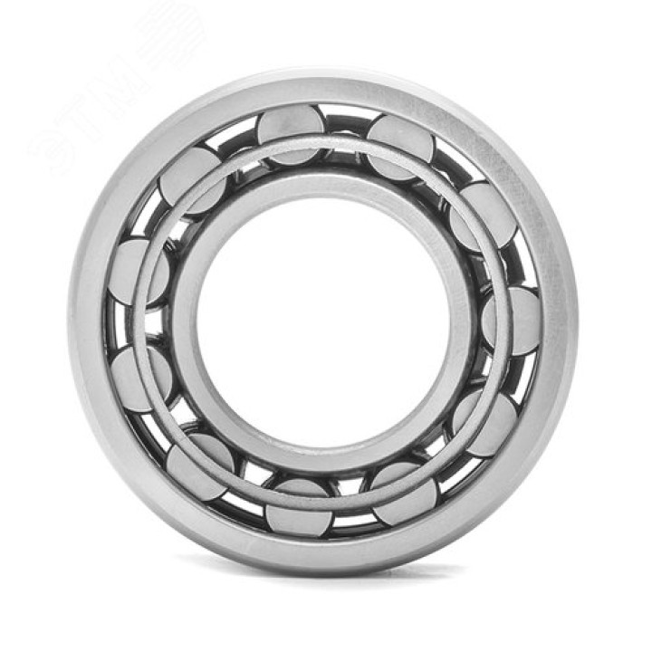 42205 (NJ 205 ECM) (SKF)