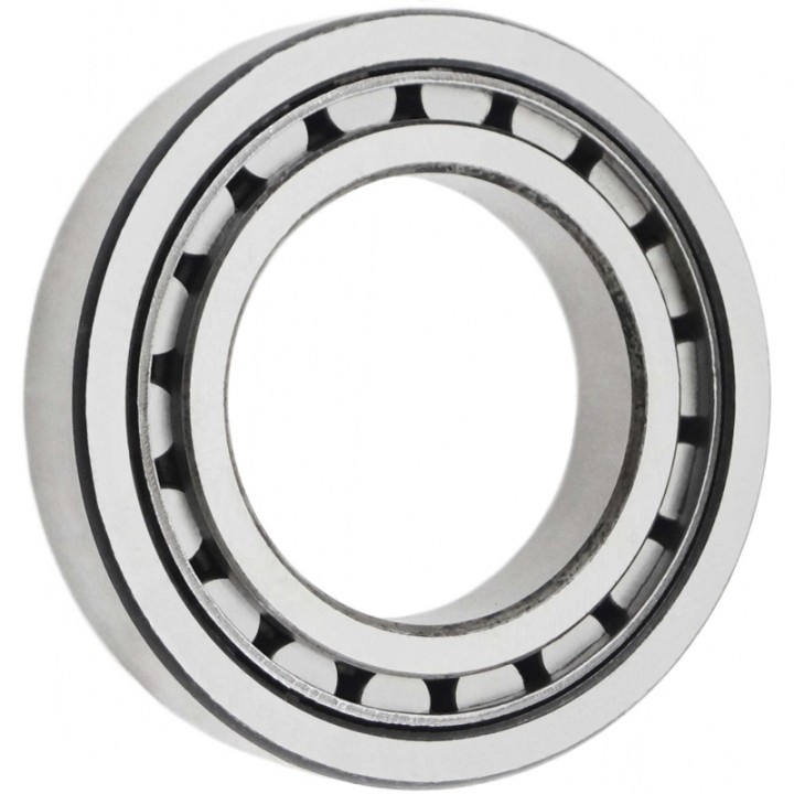 42206 (NJ 206 ECM) (SKF)
